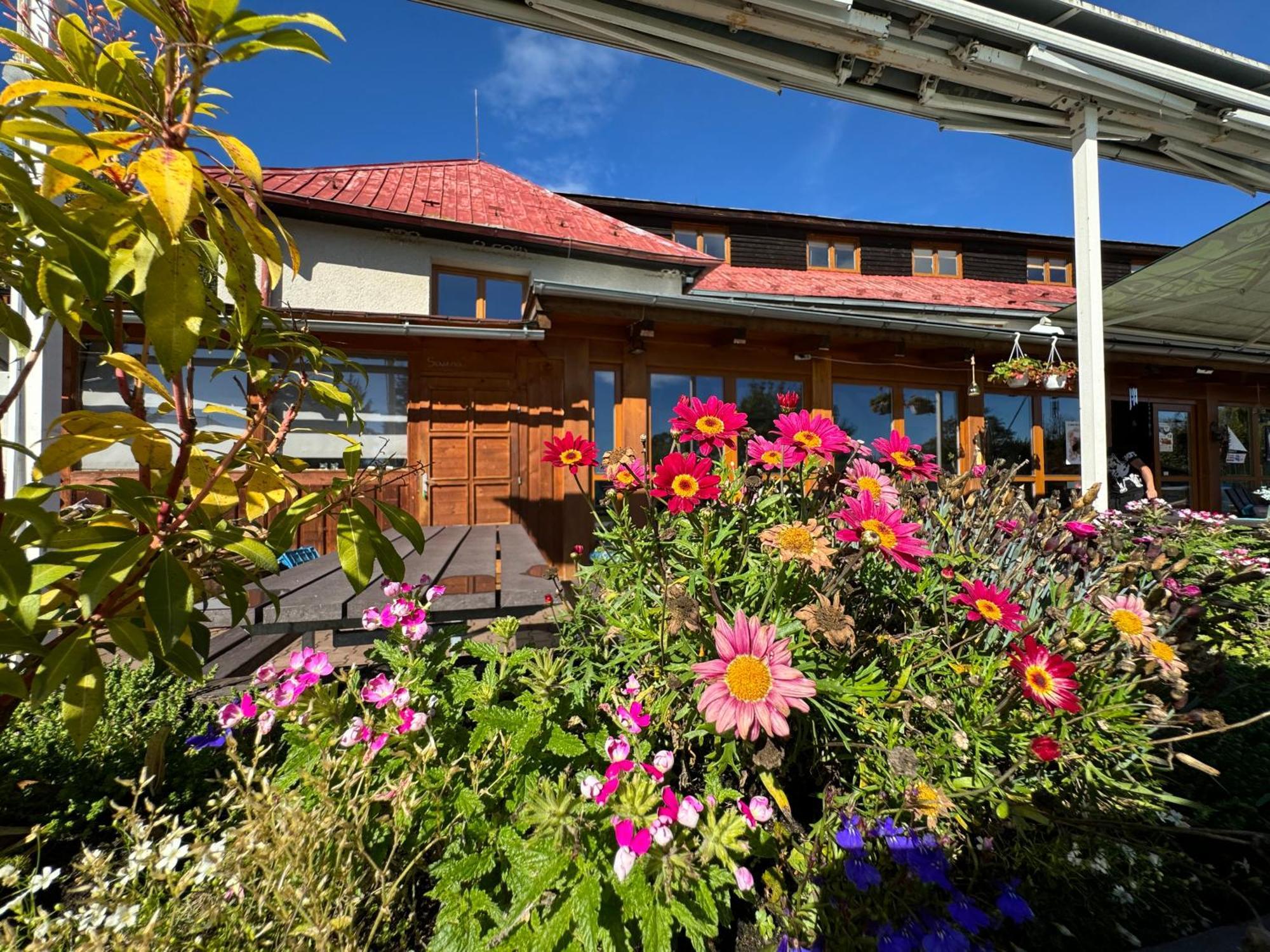 Hotel Penzion Axiom Frymburk nad Vltavou Exterior foto